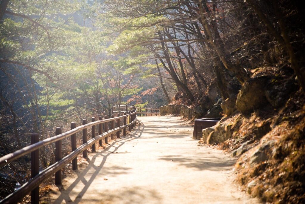 인왕산 정상